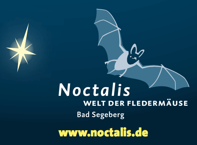 noctalis